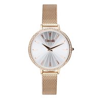 Orologio Stroili Oro Donna in Acciaio 1665834 - 1665834